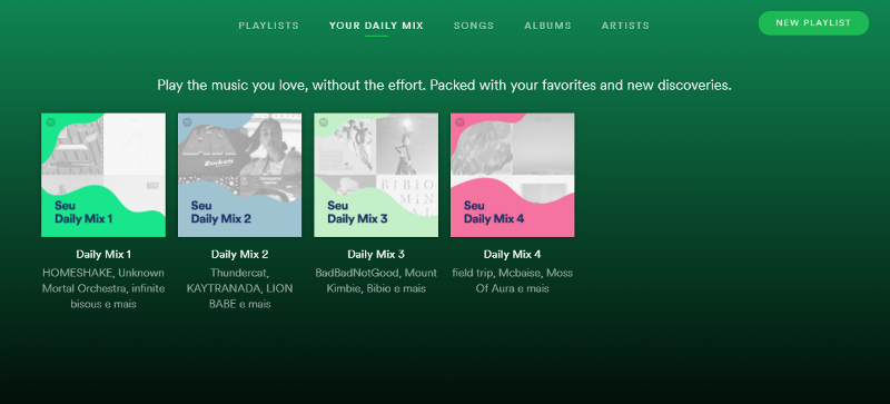 Personalized Website Experience Spotify